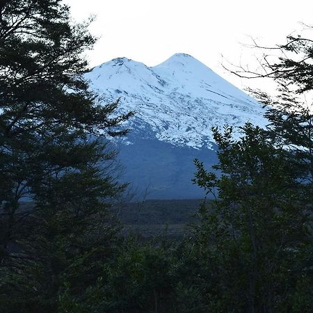 Vista Hermosa Conguillio 빌라 외부 사진