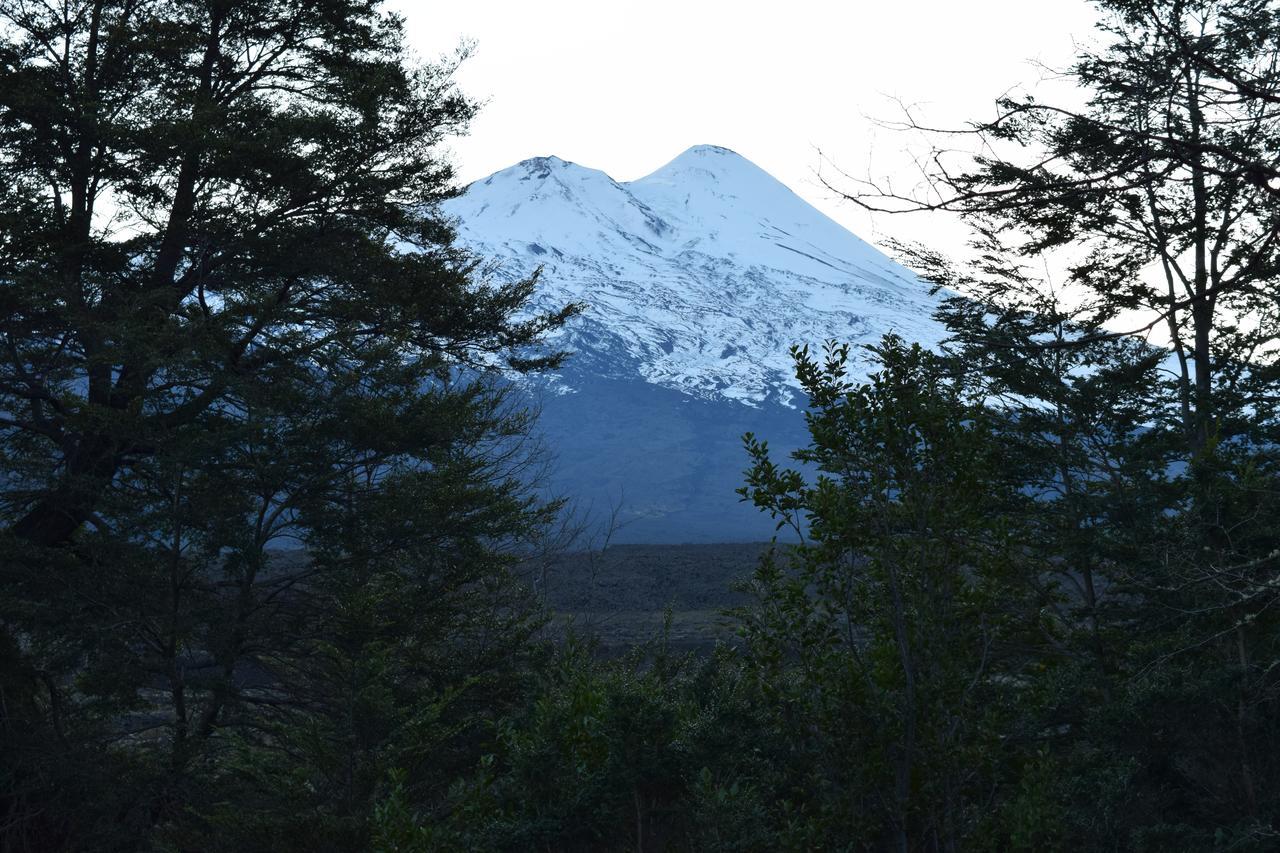 Vista Hermosa Conguillio 빌라 외부 사진